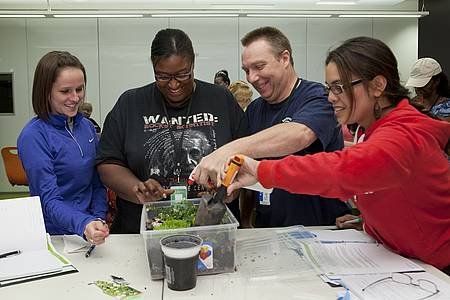 RTEmagicC_teacher_terrariums.jpg
