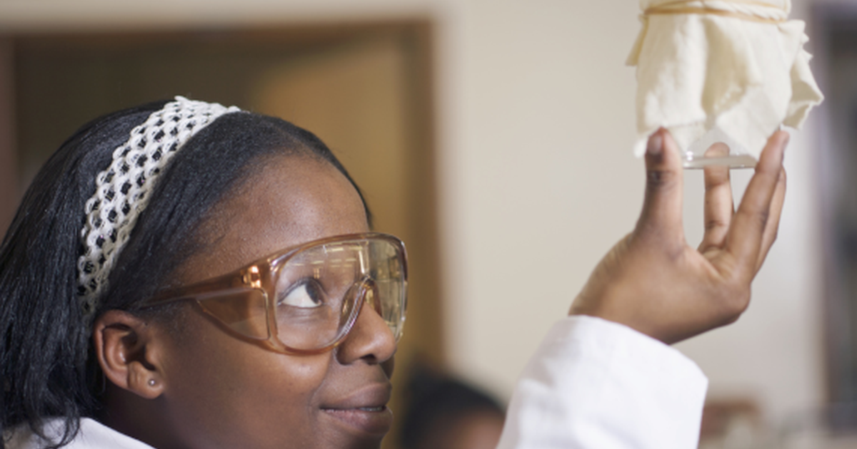 African Academic Diaspora Training And Research African Academic Diaspora Carnegie Corporation Of New York